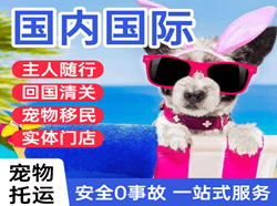 阿克苏红旗坡空运代理国际宠物托运 【国